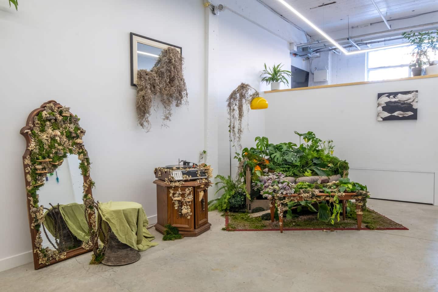 Peculiar Movements/Green Junctions at NAMARA projects